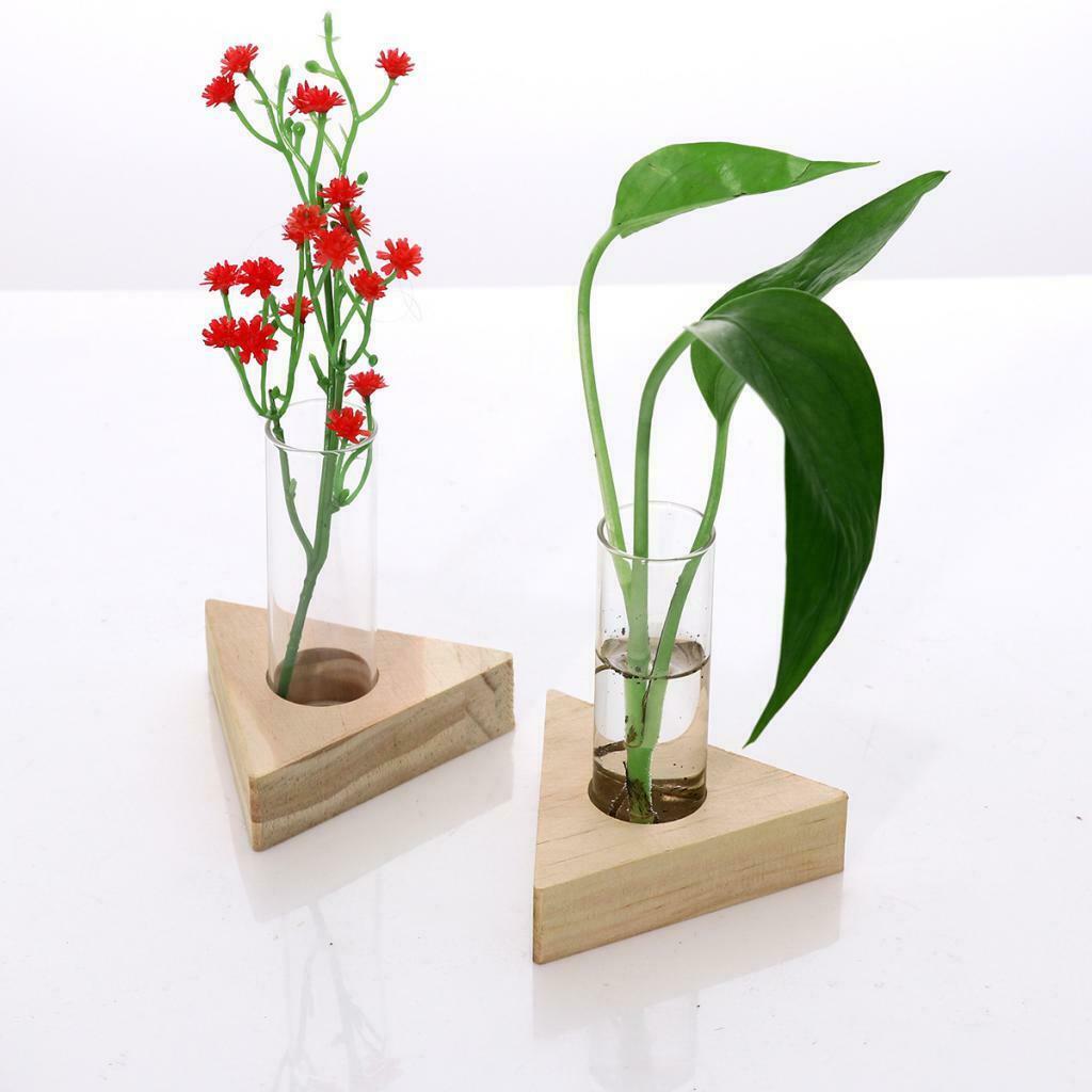 Tube Planter Plant Glass Test Tube with Wood Stand for Propagating Hydroponic