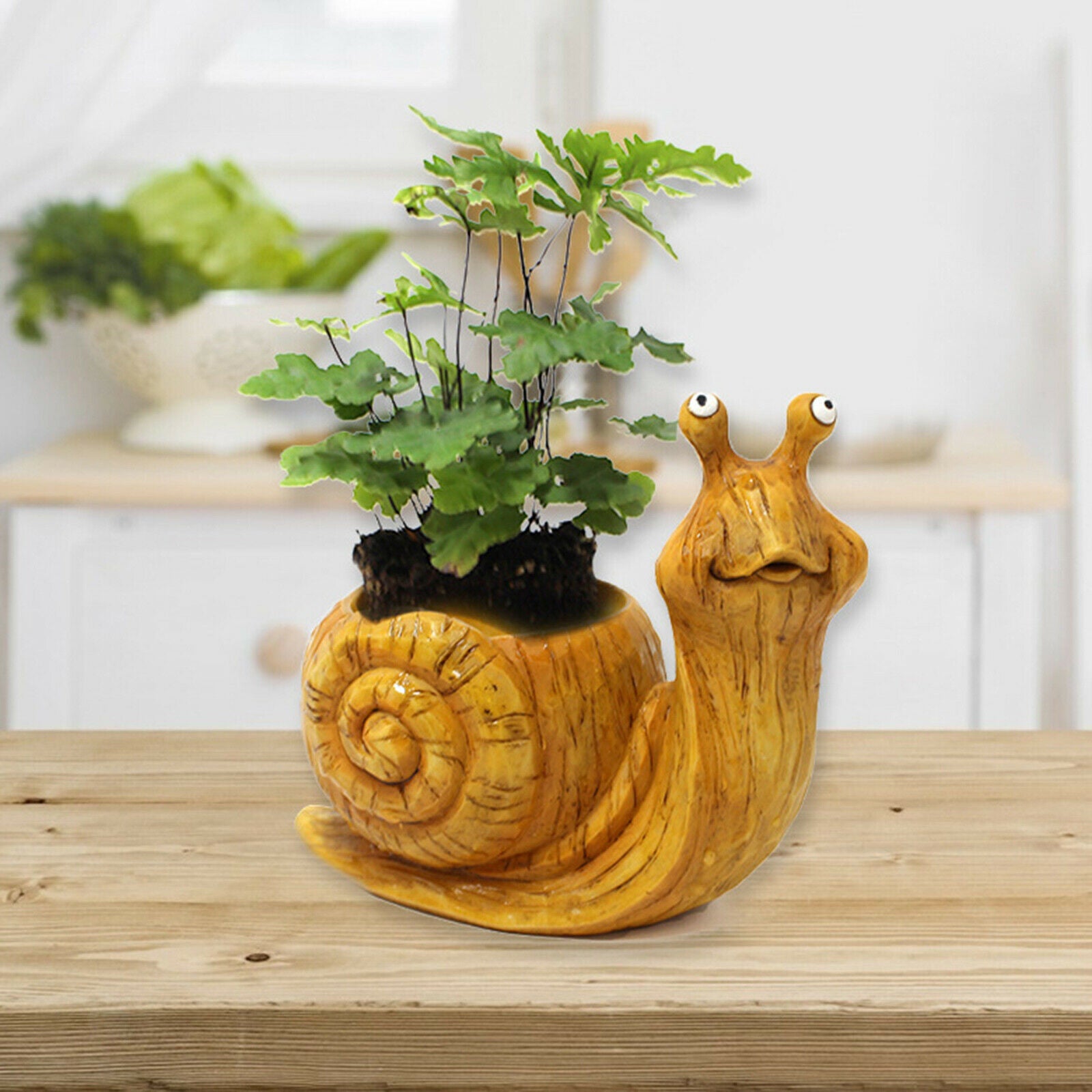 Succulent Flower Pot with Drainage Snails Garden Planter Cactus Holder