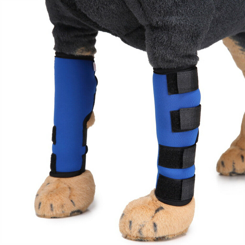 Neoprene Pet Dog Foot Protective Pet Knee Pads Dog Joint Wrap Brace Blue S