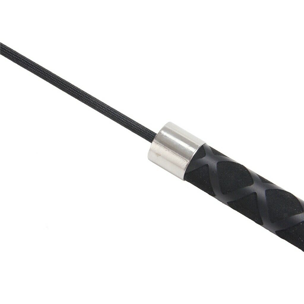 Pet Protective Equipment Training Stick