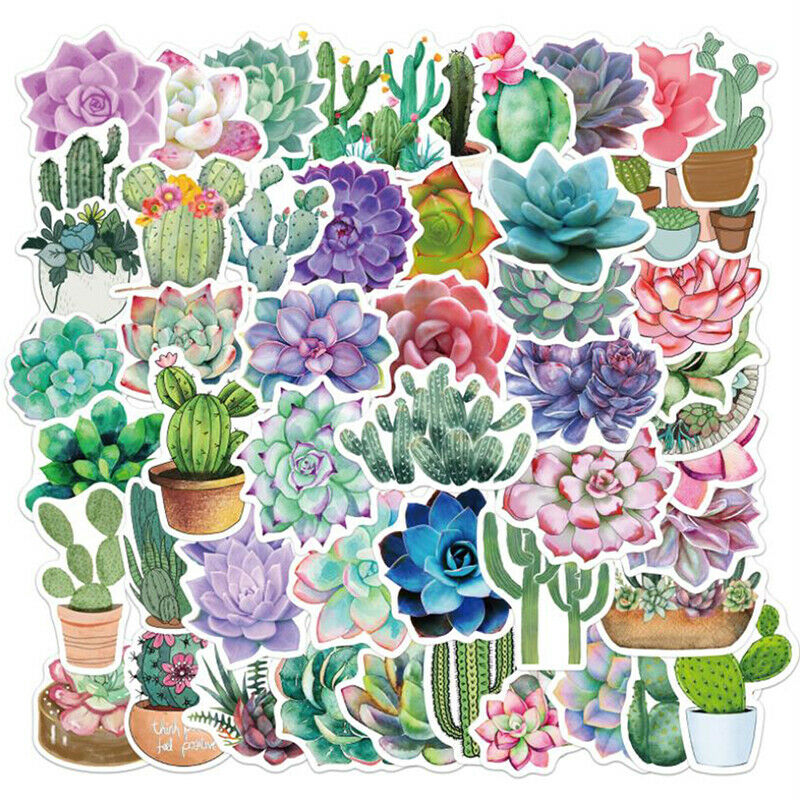 50Pc Cartoon Succulent Cactus Plant Stickers Luggage Guitar Graffiti Stic.l8