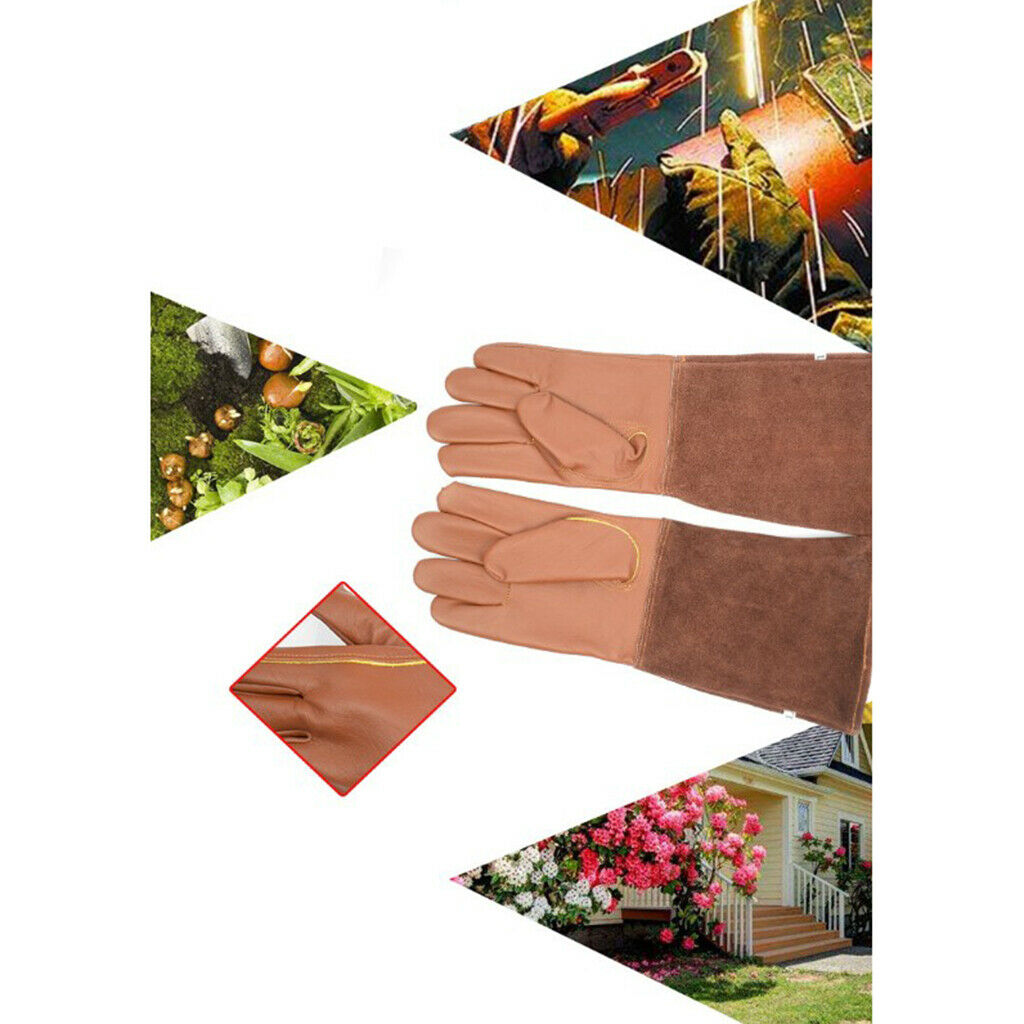 Pairs of 2 Rose Pruning Gloves Leather Gardening Gloves Work for Men S+M