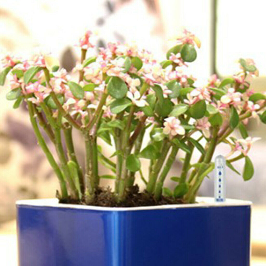 20x Plants Moisture Water Level Indicator For Garden Indoor Potted Plants