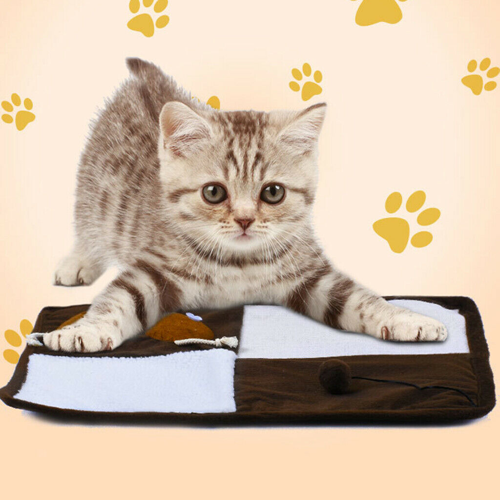 Cats Scratching Pad Cat Scratcher Sleeping Mat For Medium Large Cat Square