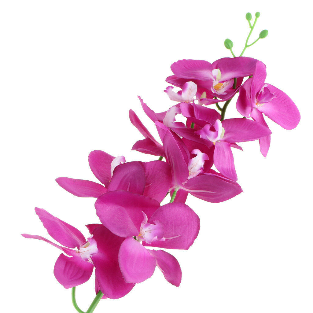 93cm Long Stem Artificial Silk Phalaenopsis Butterfly Orchid Flower Purple