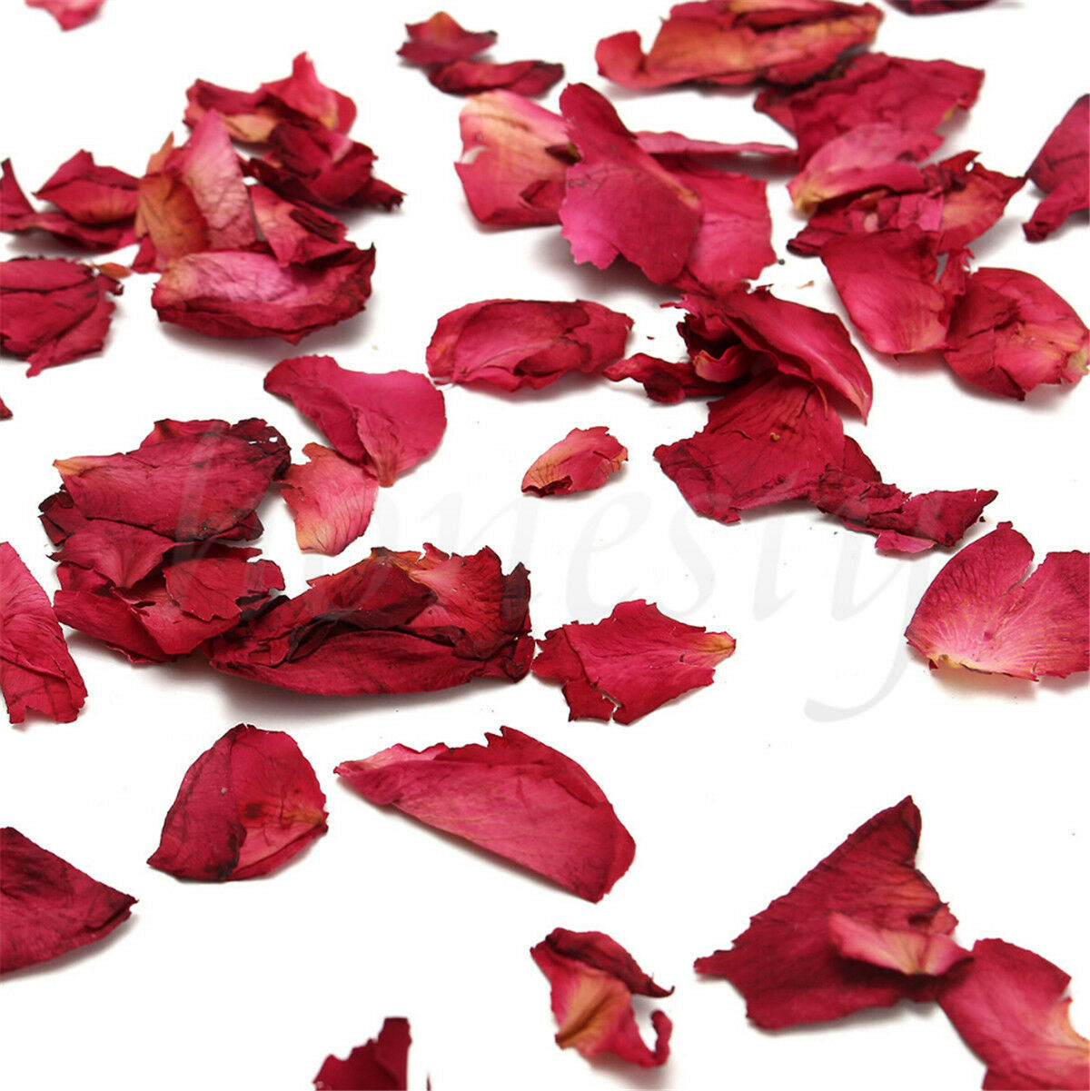 Dried Rose Flowers Petal for Confetti Soap making Bath Bombs 20g Pack