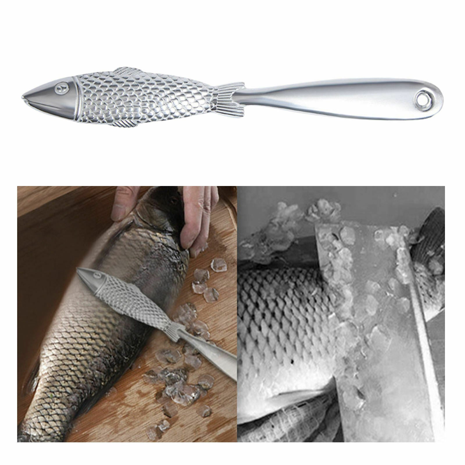 Fish scales scrapers Fish scales peelers Fish scales Cleaning brushes Scraping