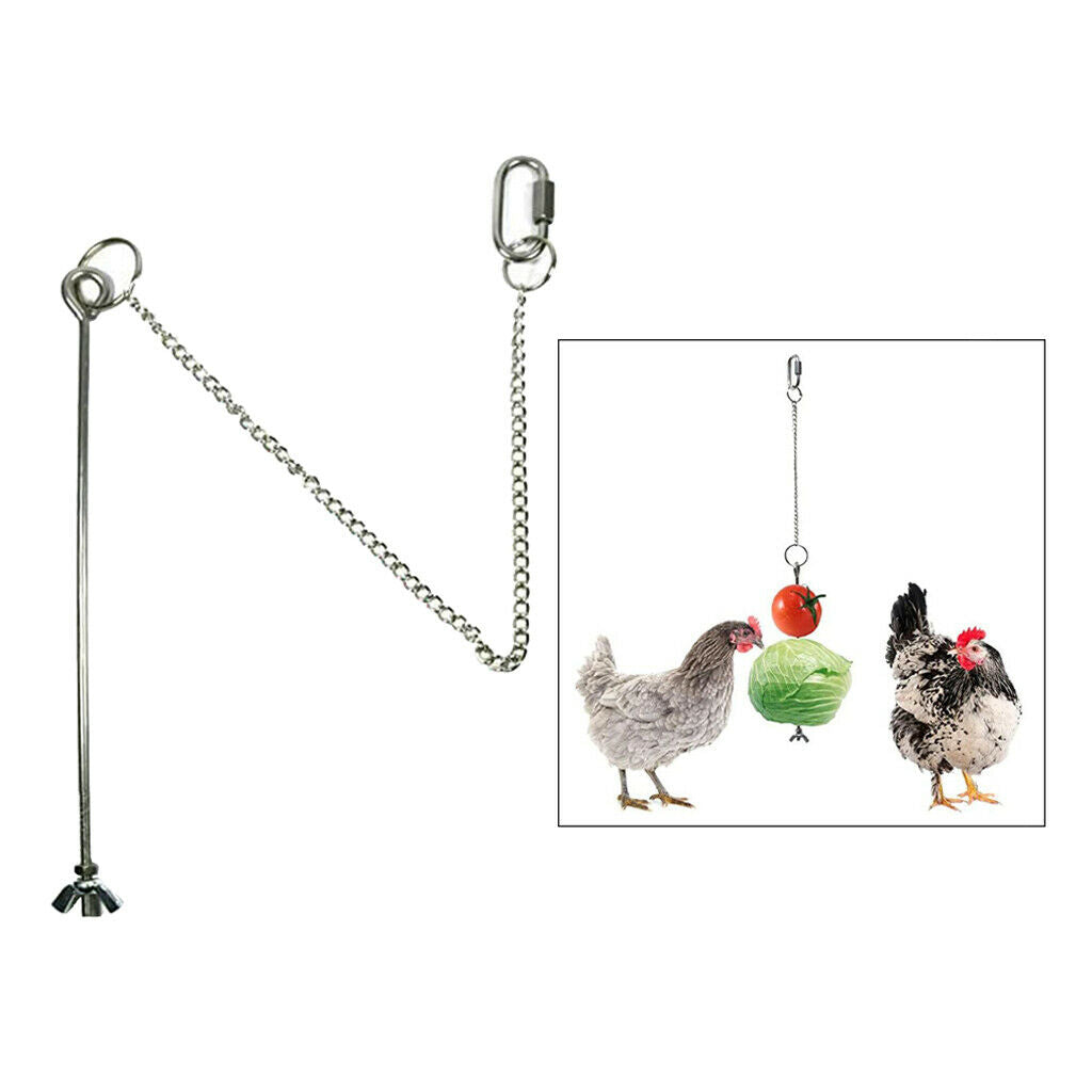Bird Food Holder Hanging Toys for Birds Chicken Finches Cockatoo Cockatiel