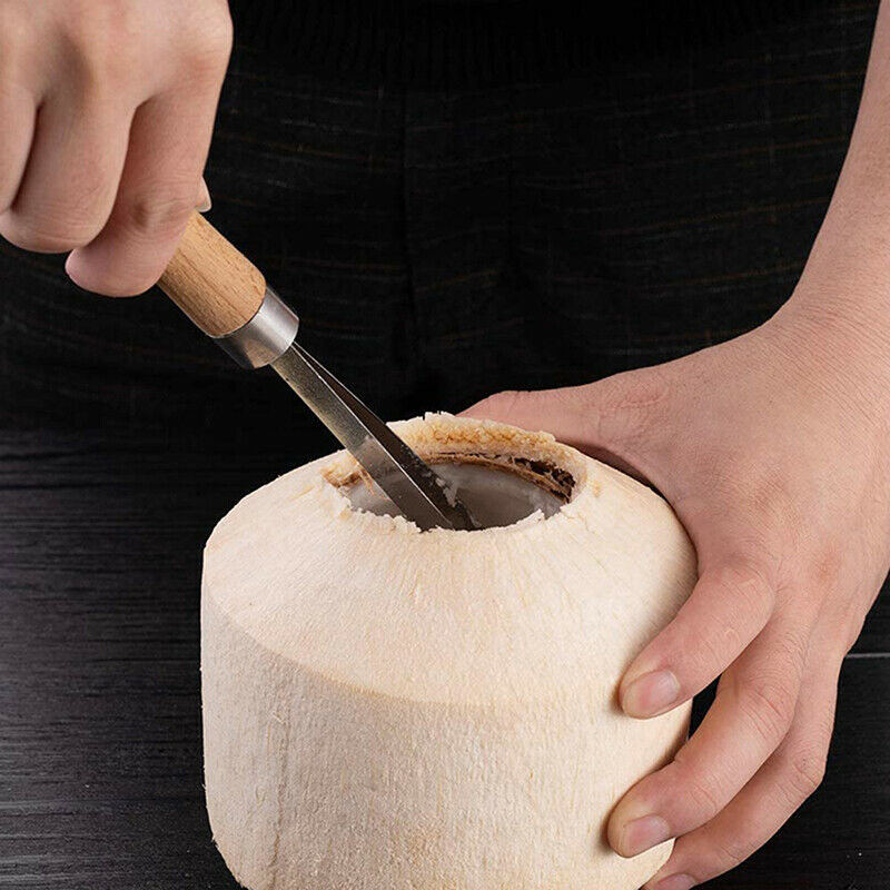 Coconut Meat Remover Stainless Steel Scraper Coconut Silk Digging Shav.l8