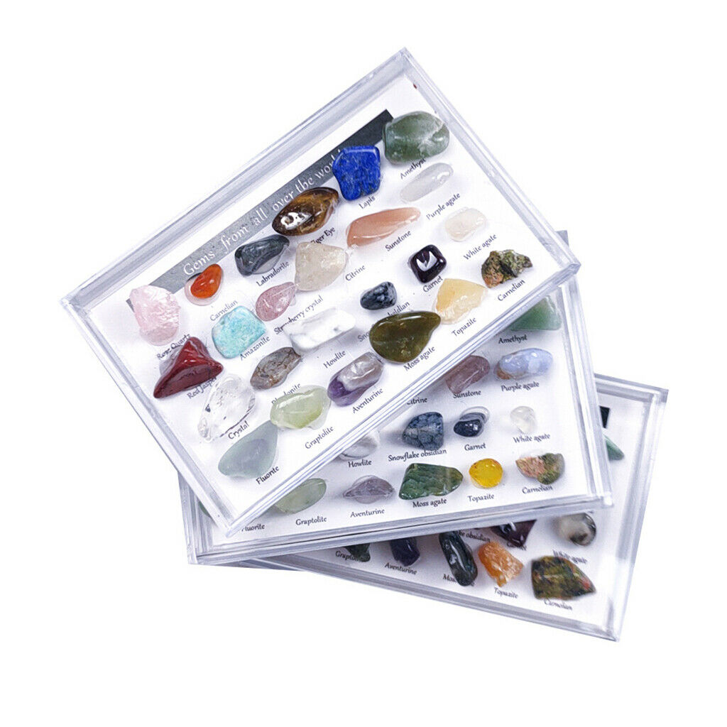 24x Rock Mineral Collection Set Mining Experimental Kit Science Geography