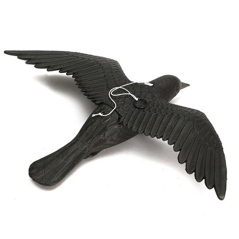 Crow Lure Falco Realistic Hunting Control Pests Garden Scarer Scarecrow