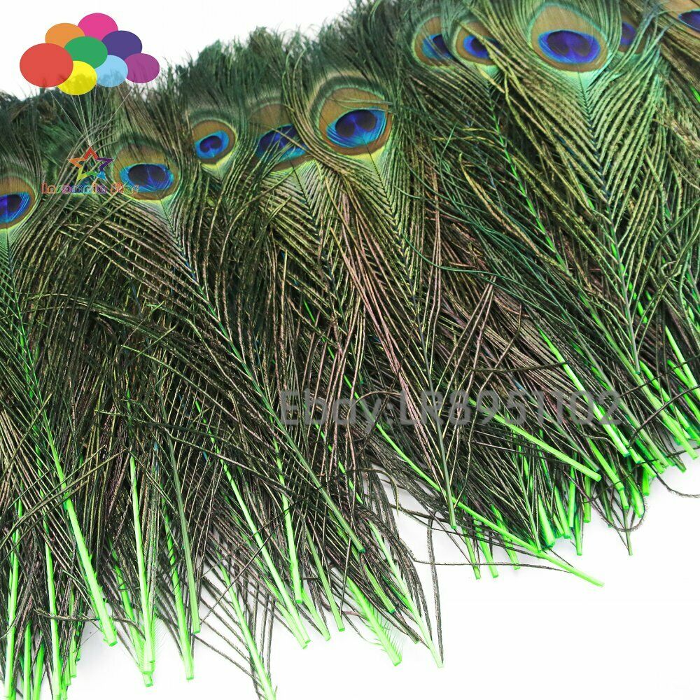 New 100 pcs quality Fruit green peacock feathers 10-12inch / 25-30cm DIY wedding