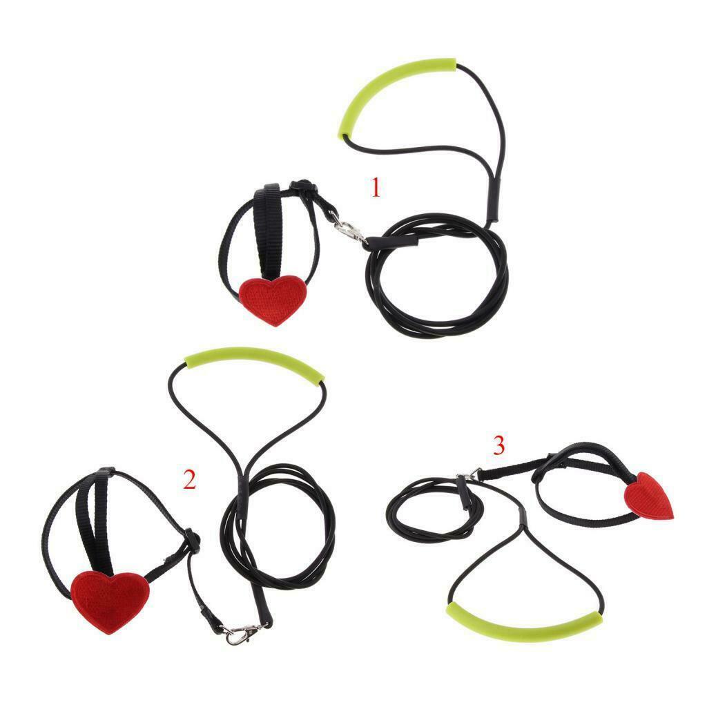 Soft Elastic Parrot Bird Leash Bird Harness Leash for Budgerigar Lovebird