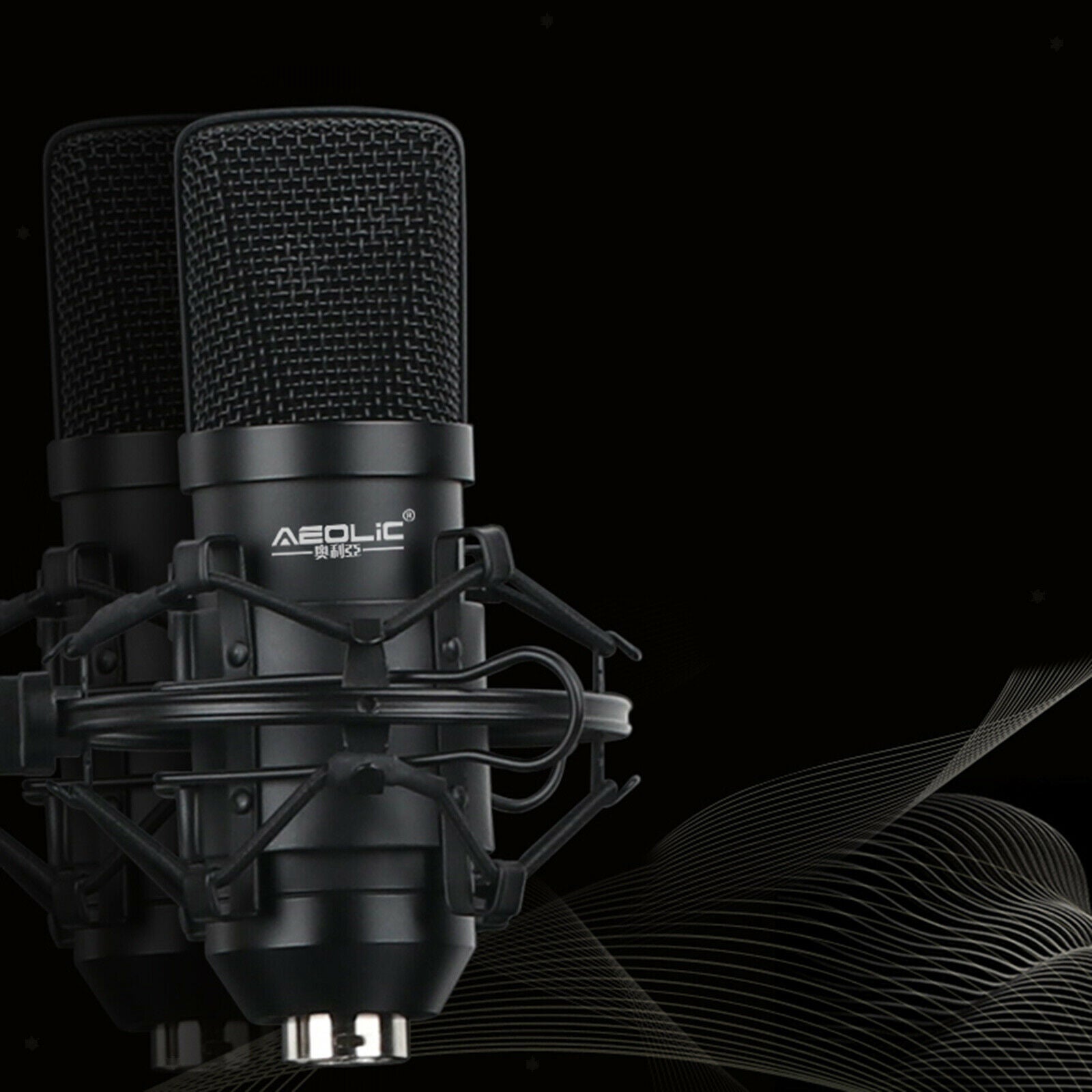 Professional USB Condenser Microphone Mic + Stand Recording Gaming Streaming