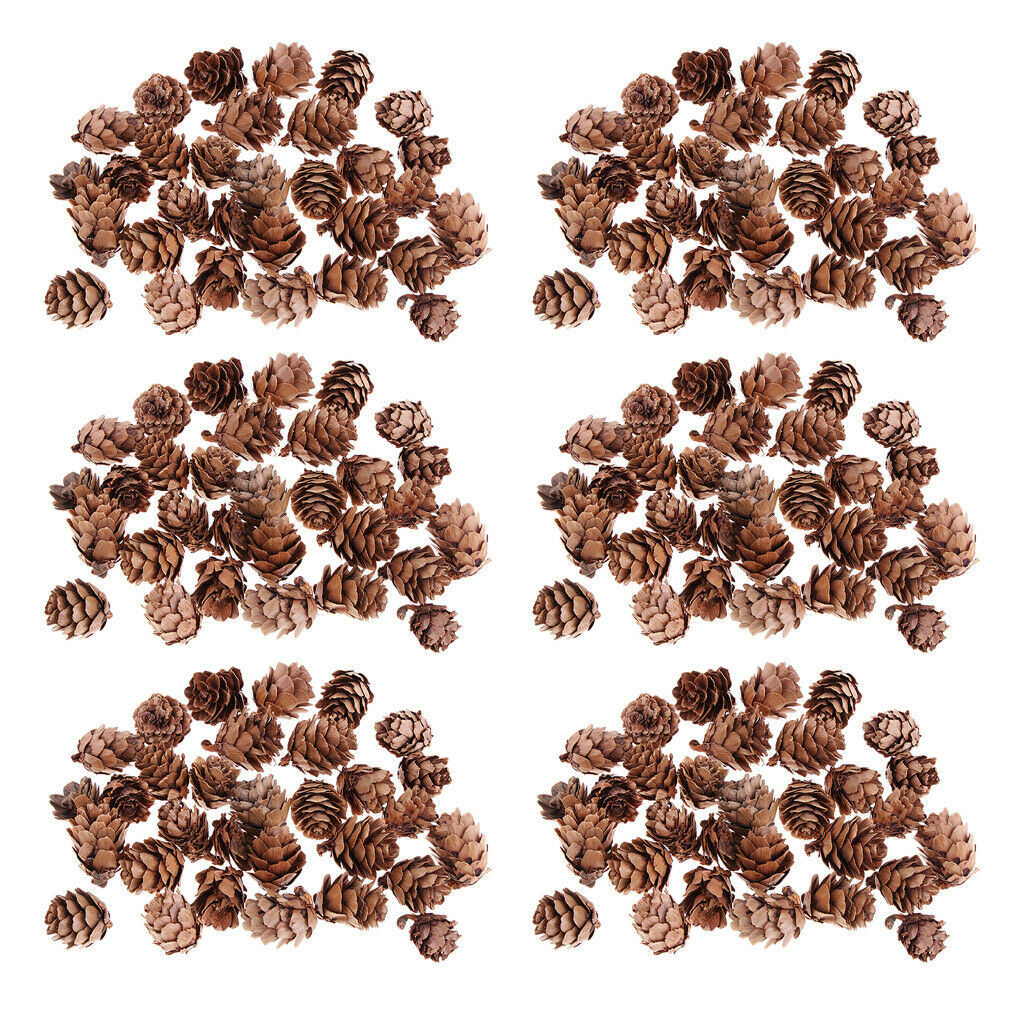 180 Real Natural Small Pine Cones Photo Props Thanksgiving Day Wedding Decor