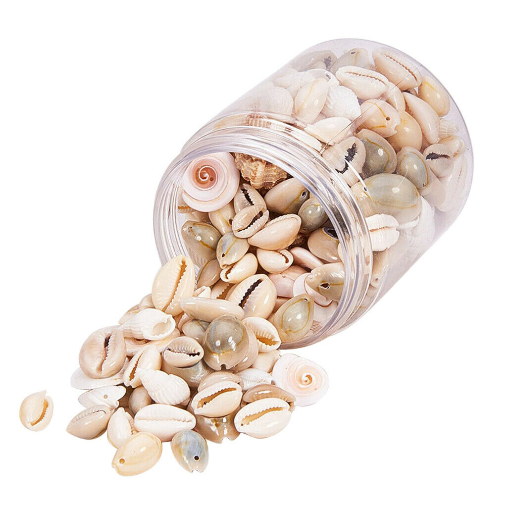 Mixed Beach Seashells Spiral Shells Conch Beads Vase Filler Jewelry Making