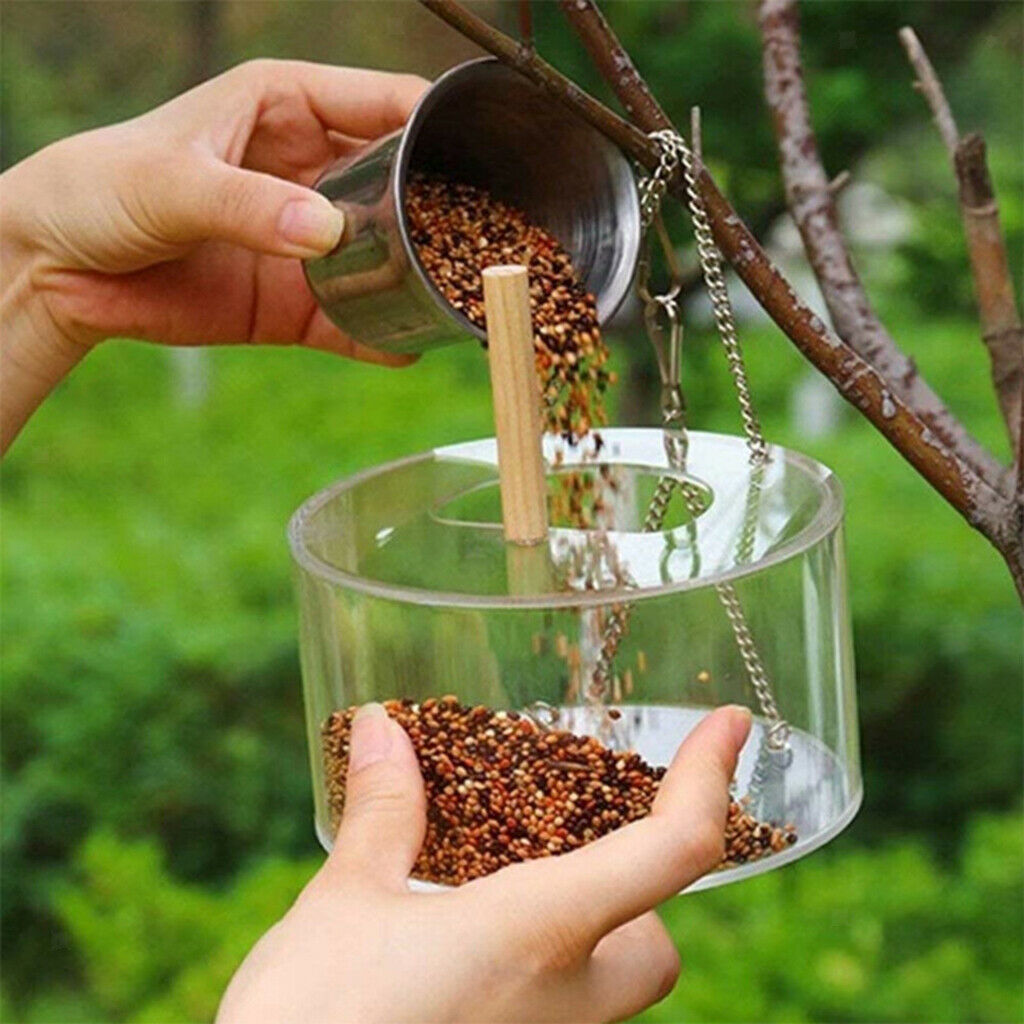 Window Bird Feeder Food Box - Clear Acrylic - Removable Slide Out Tray Outdoor