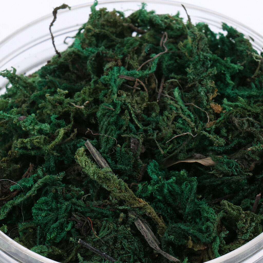 Military Armor/RR Scenery Terrain Vegetation Grass Models Green 500ML