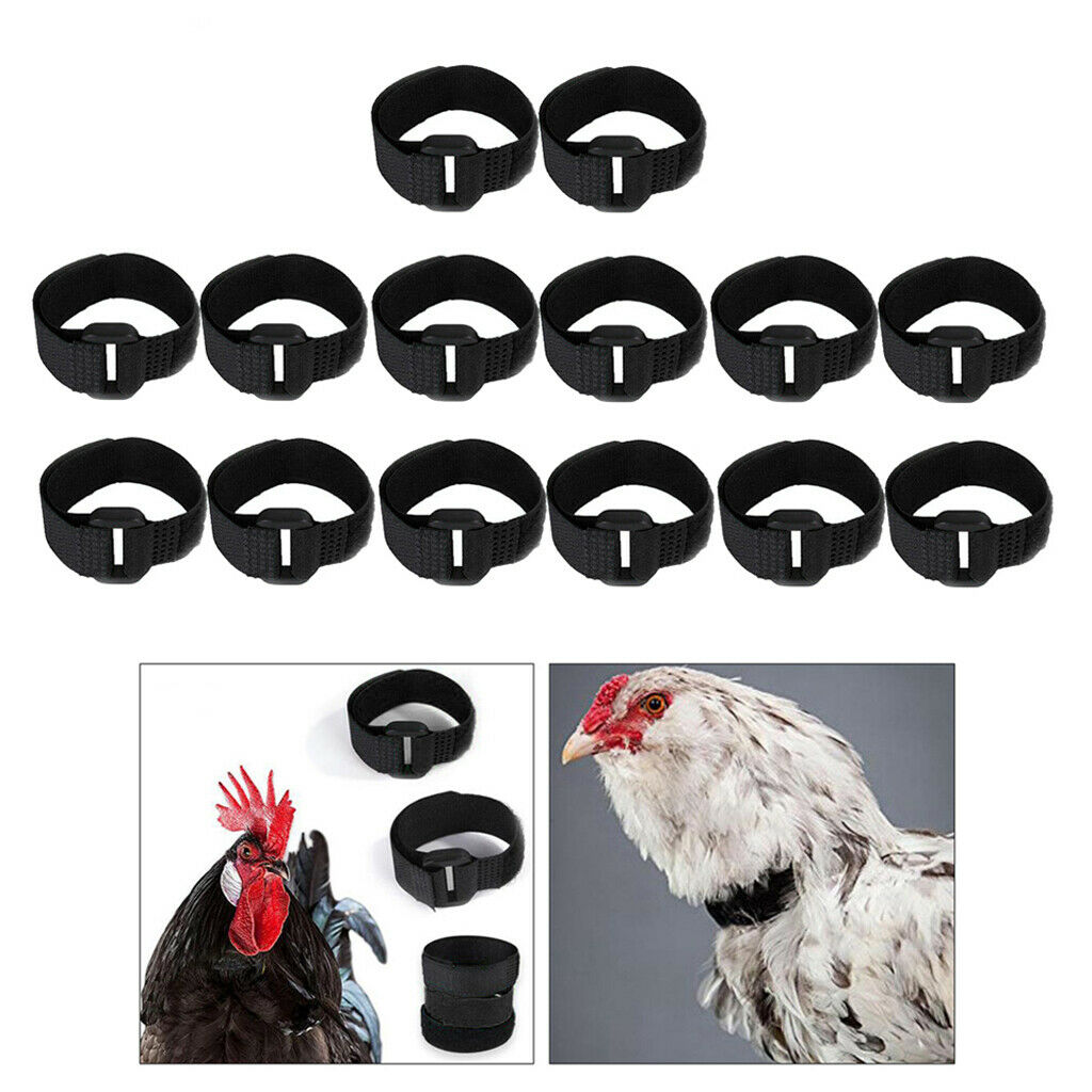 14x Rooster Collar Prevent Rooster from Screaming for Poultry Rooster Black