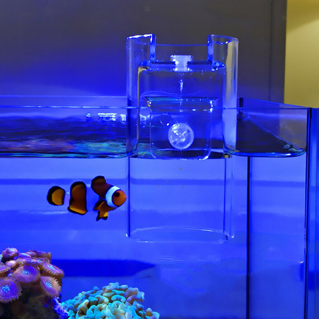 Aquarium   Tank Transparent Circle    Feeding Floating Food Tray