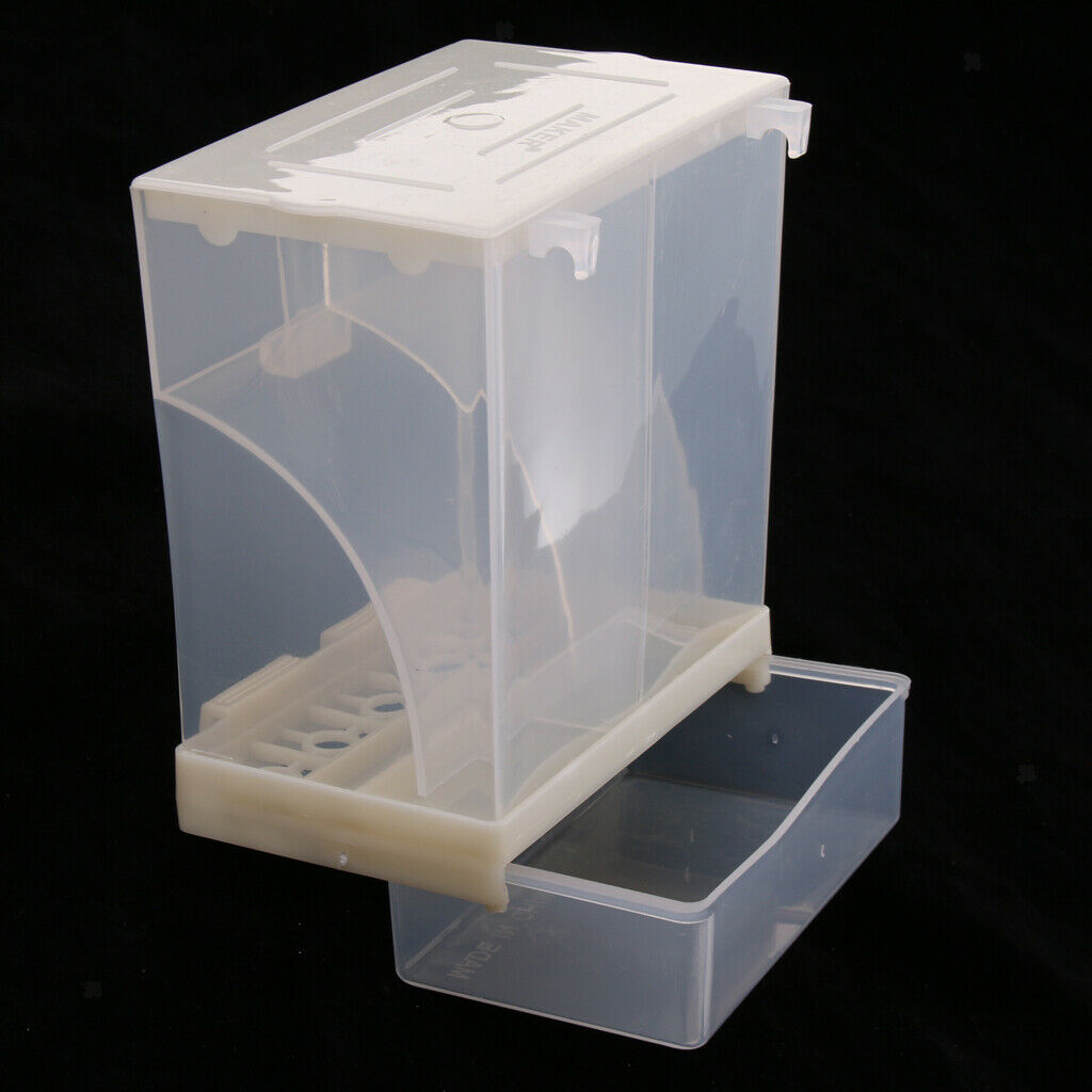 2 pcs Bird Poultry Feeder Automatic Food Container Parrot Splash Proof