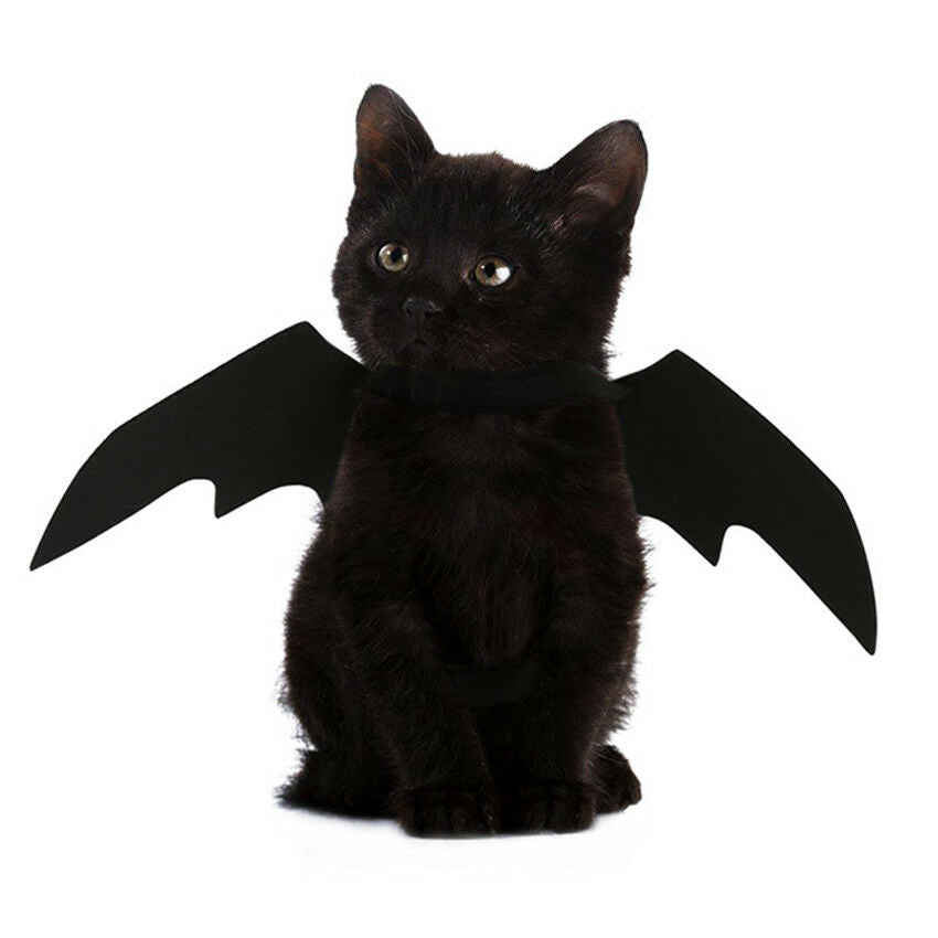 Halloween Pet Dog Cat Puppy Kitten Bat Wings Kitten DressUp Vampire Cape Costume