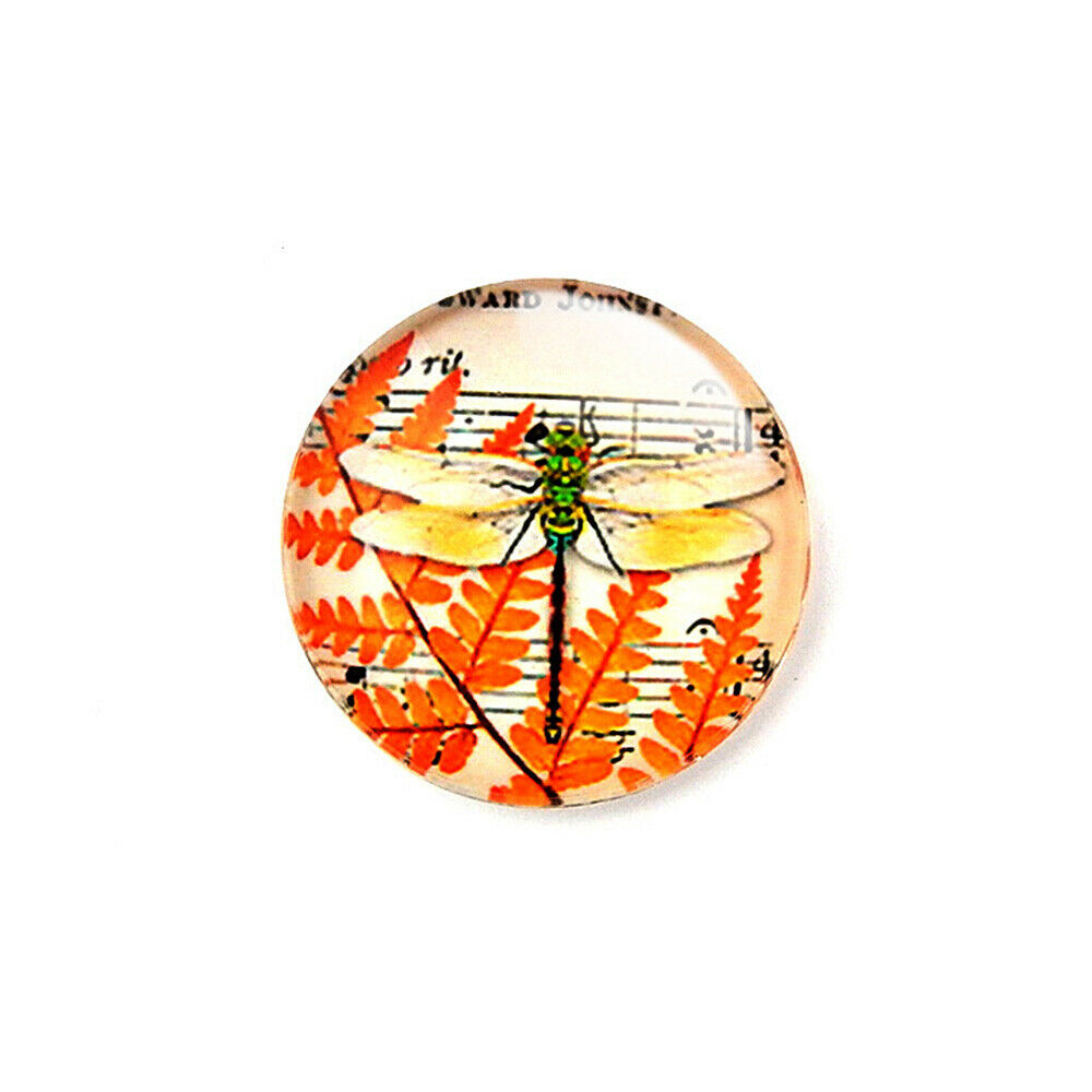 10x Round Insect Glass Magnet Needle Minder DIY Cross Stitch Embroidery Supplies
