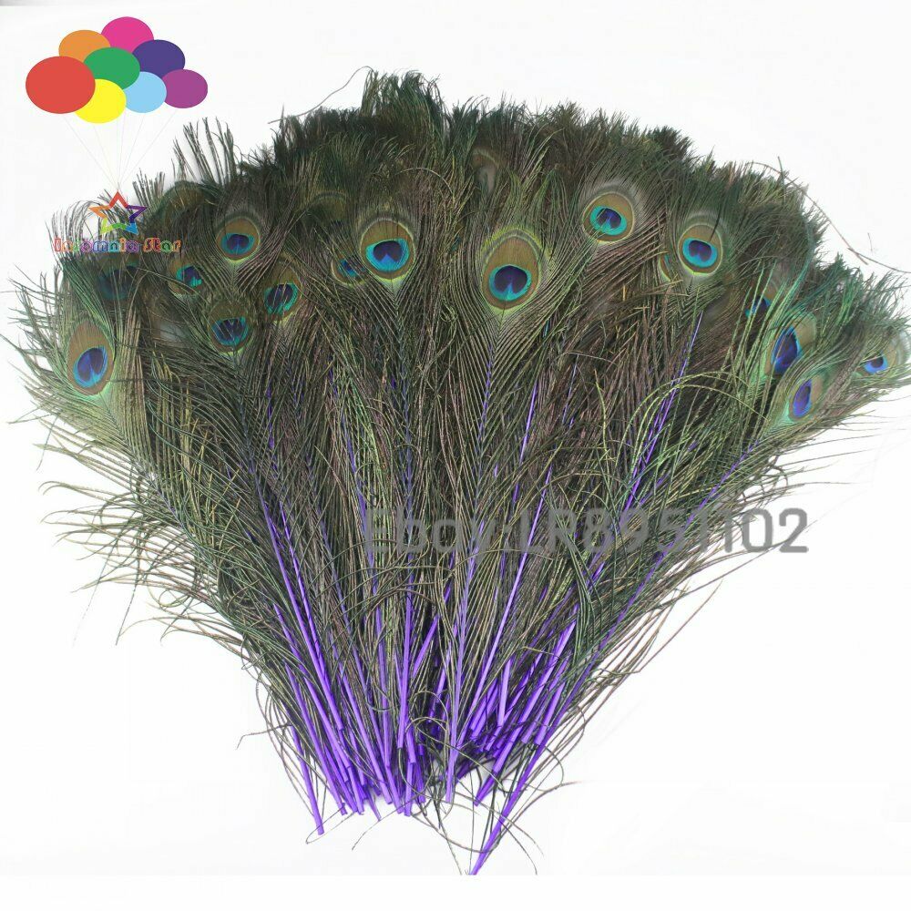 Deep purple Peacock Feathers 16-18 inches Long 40-45cm 100 pieces per pack
