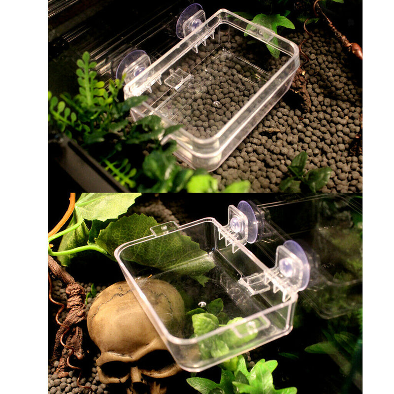 Reptile Lizard Turtle Water Food Bowl Round Dish Drink Bottle Feed Dispenser