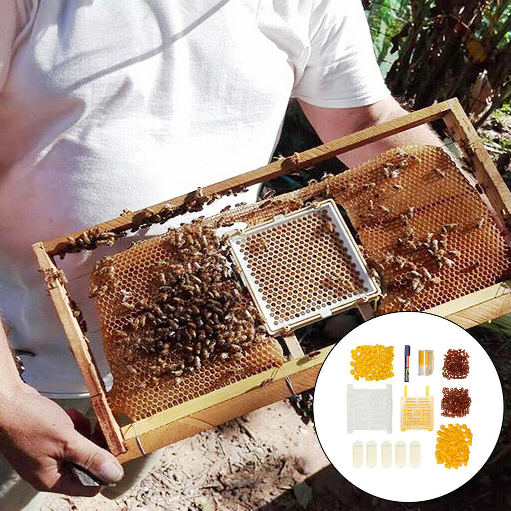 Queen Bee Rearing Grafting Kit for Apiculture Cell Cup Plastic Supplies Tool
