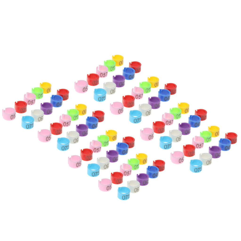 100Pcs Plastic Pigeon Leg Rings Bird Rings Identification Race Colorful Ring