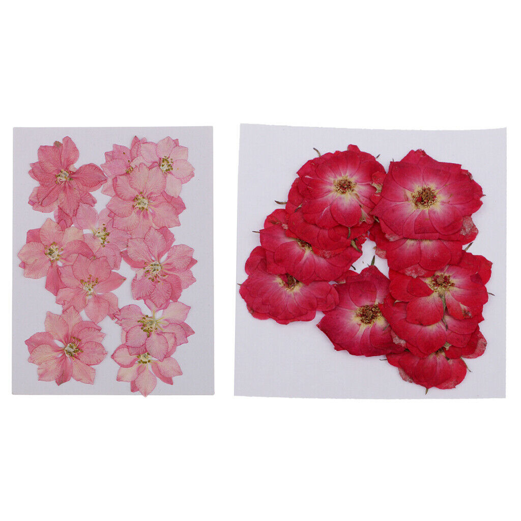 22 Pieces Pressed Flower Real Dried Flower Delphinium Rose for Jewelry Making,
