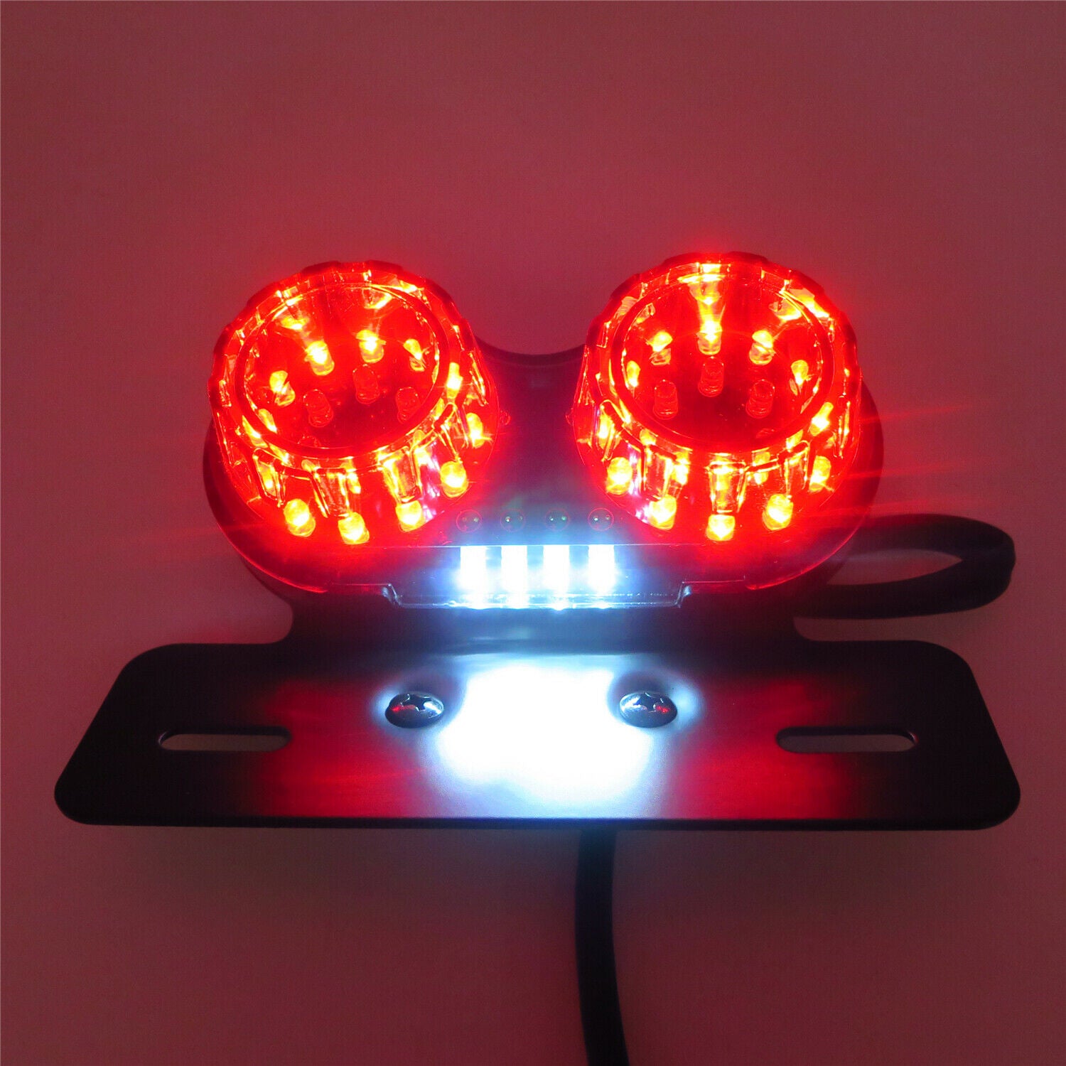Motor Tail Light Integrated Driving Brake Light Turn Signal Lamp For  BMW Ducati