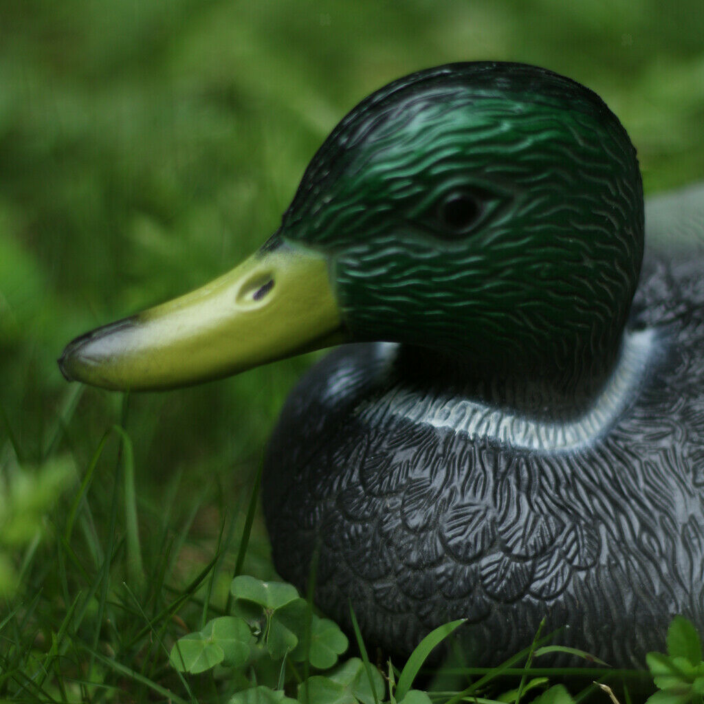 Set of 4 Plastic Mallard Duck Hunting Decoy Ornament Garden Decoration