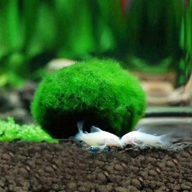 Artificial Moss Ball Fish Tank Aquarium Decor Ornament 2.5-4.5cm Natural Plants