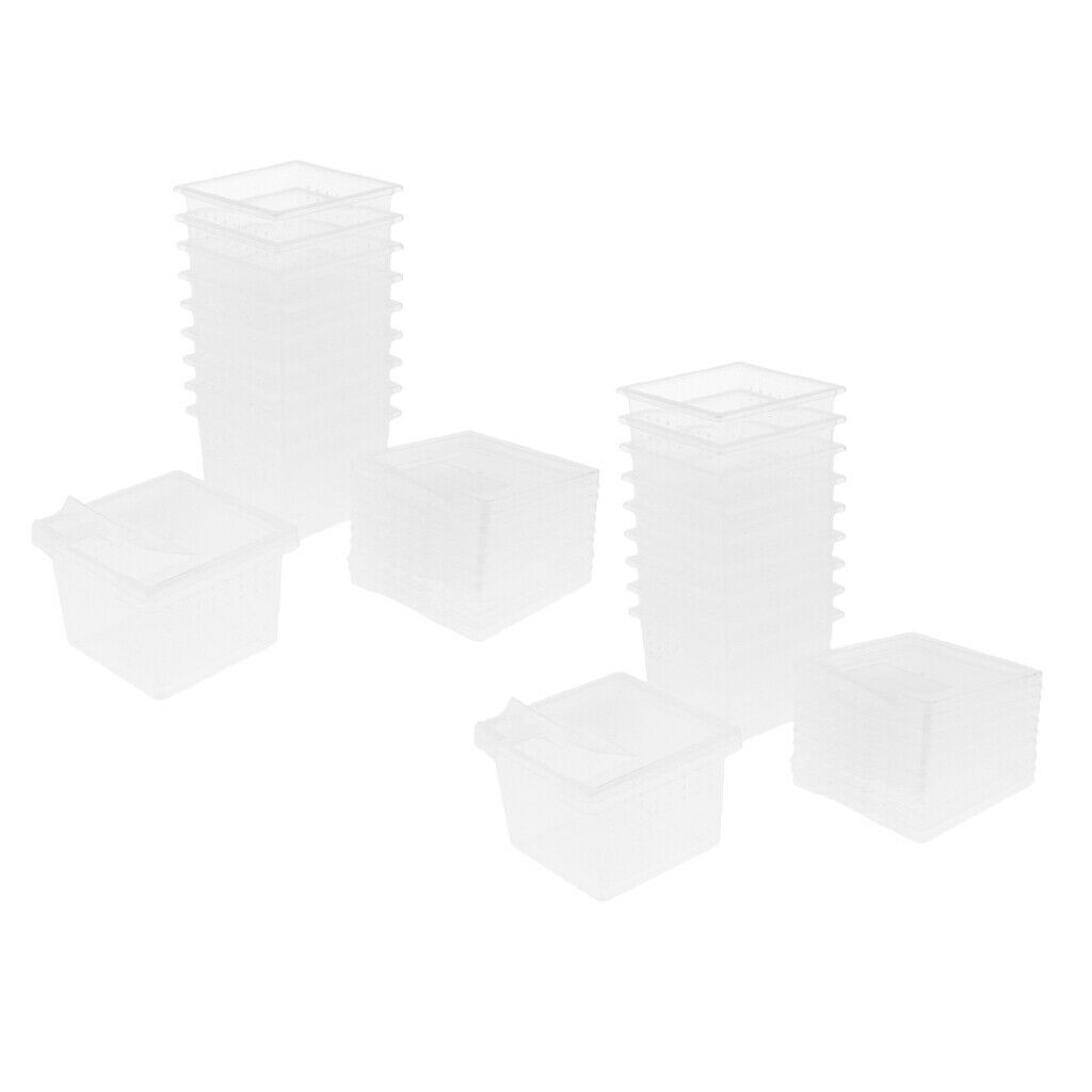 20x Reptile Plastic Clear Feeding Container Vivarium Rearing Box for Raising