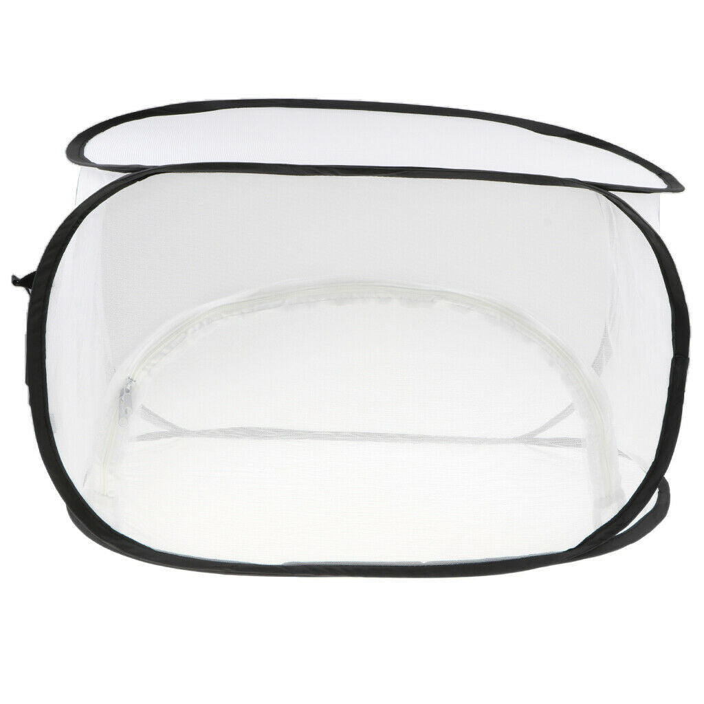2XInsect Breeding   Up Cage Butterfly Habitat Terrarium Living Net Collapsible