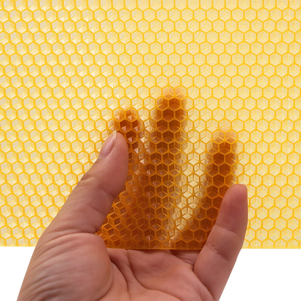 30PCS Beekeeping Nest Bee Honey Sheets Beehive Wax Foundation Beekeeping Tools