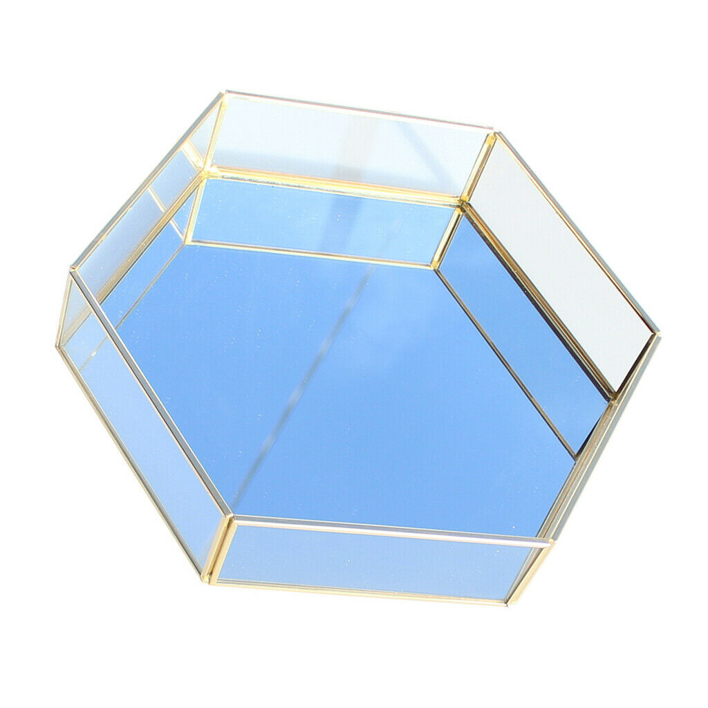 Artistic Clear Glass Jewelry Box Succulent Moss Plant Terrarium Display Planter