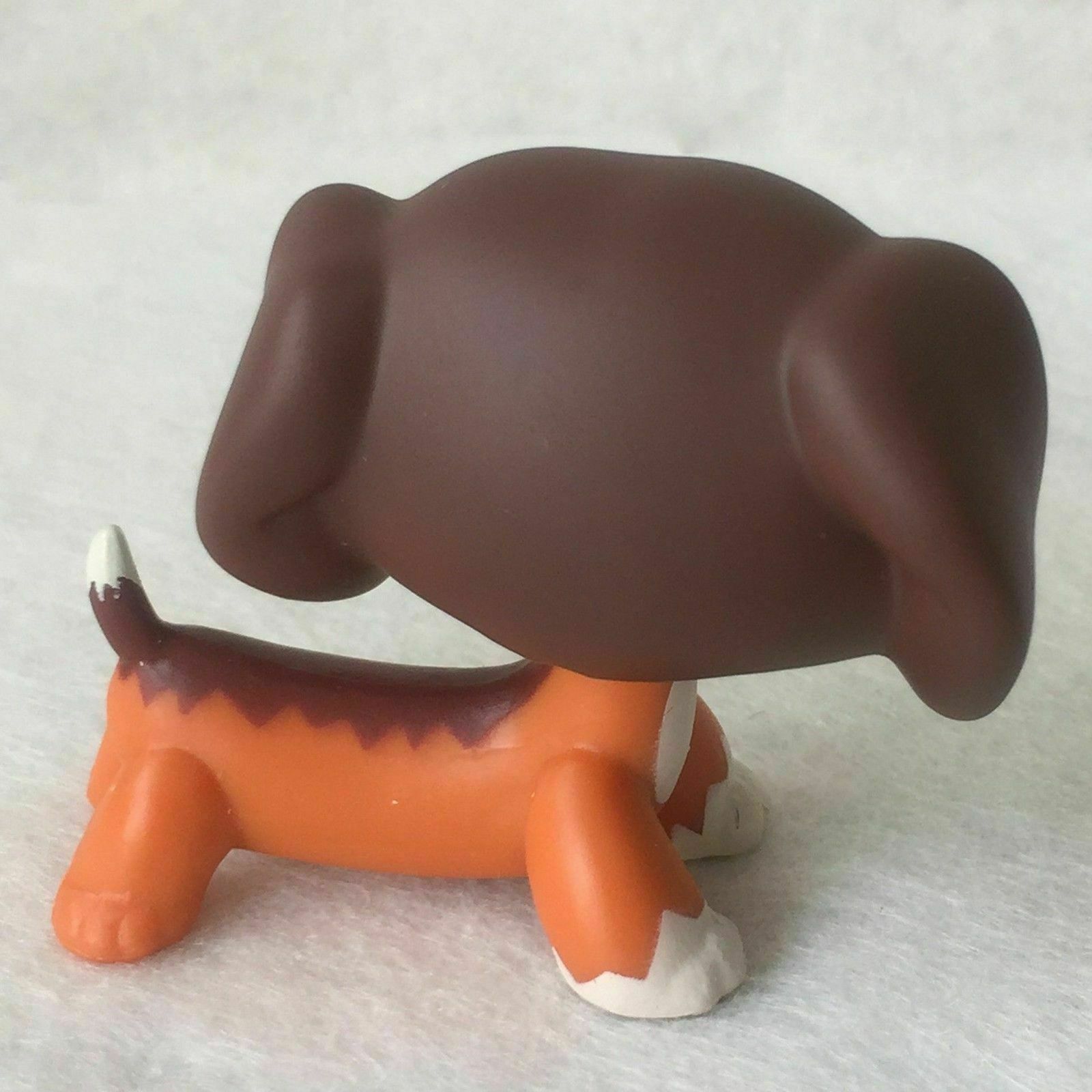 Littlest Pet Shop Animaux Collection Lps Jouet #675 Savannah Savvy Teckel Dog S