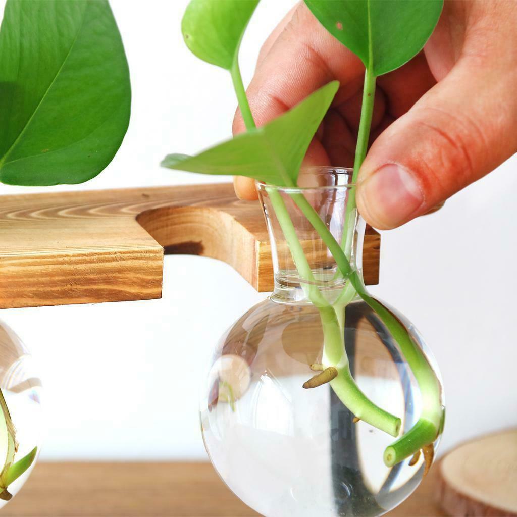 Set of 2 Hydroponic Glass Planter Container in Wooden Stand Plant Stand