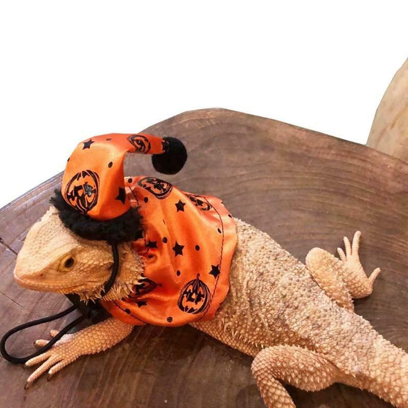 Bearded Dragon Costume Set Orange Hat and Cloak Lizard Clothes Resizable