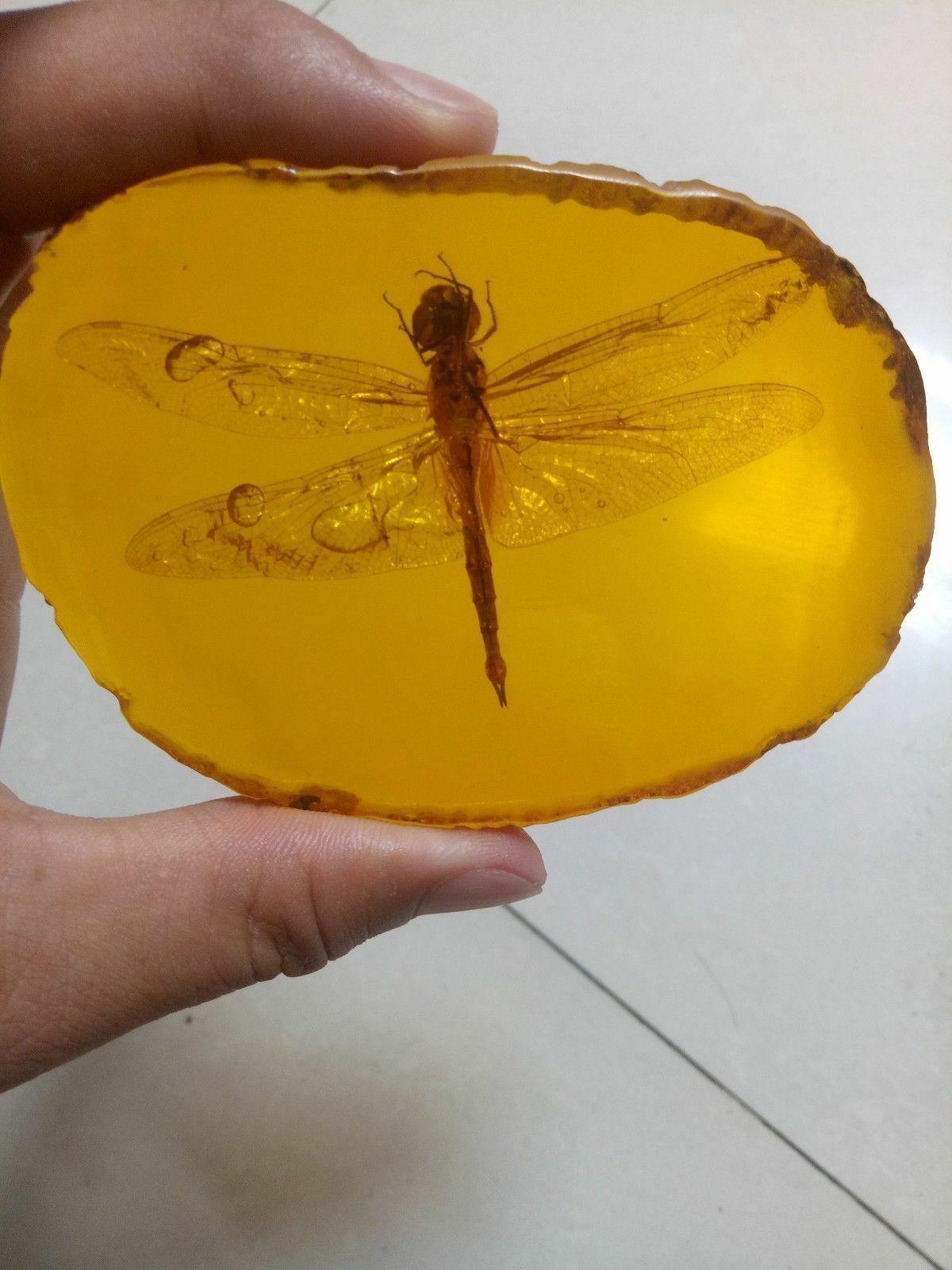 Beautiful Amber Dragonfly Fossil Insects Manual Polishing