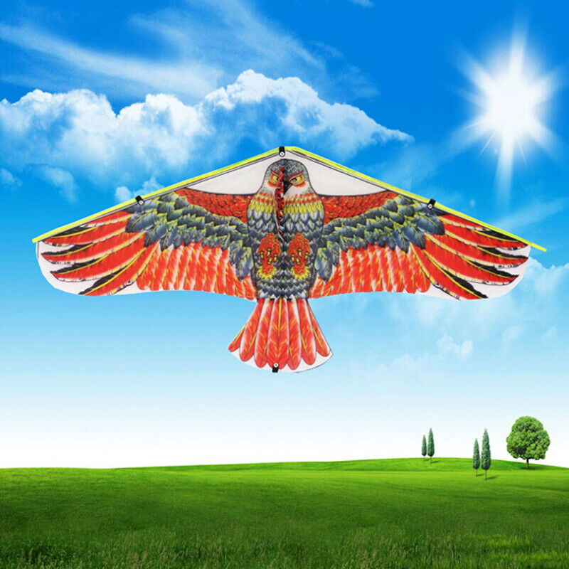 1Pc 1M Flat Eagle Kite With 50M Kite Line Children Flying Bird Kites Outdoor  Lt