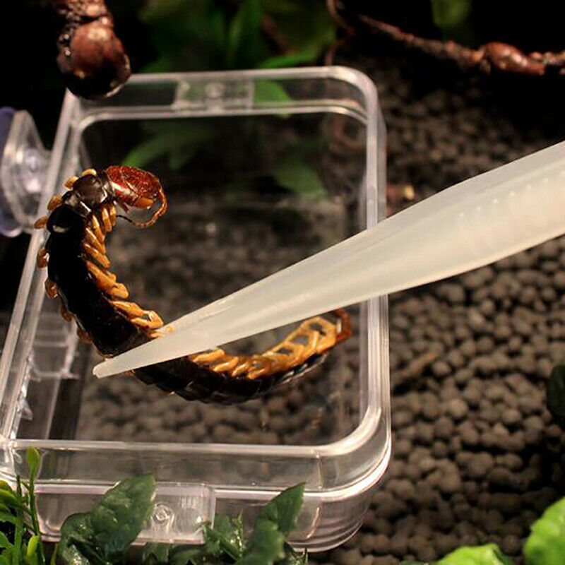1Pc Reptile Tweezers Noctilucent Clip Feeding Tongs Live Food Feeding Cla.l8