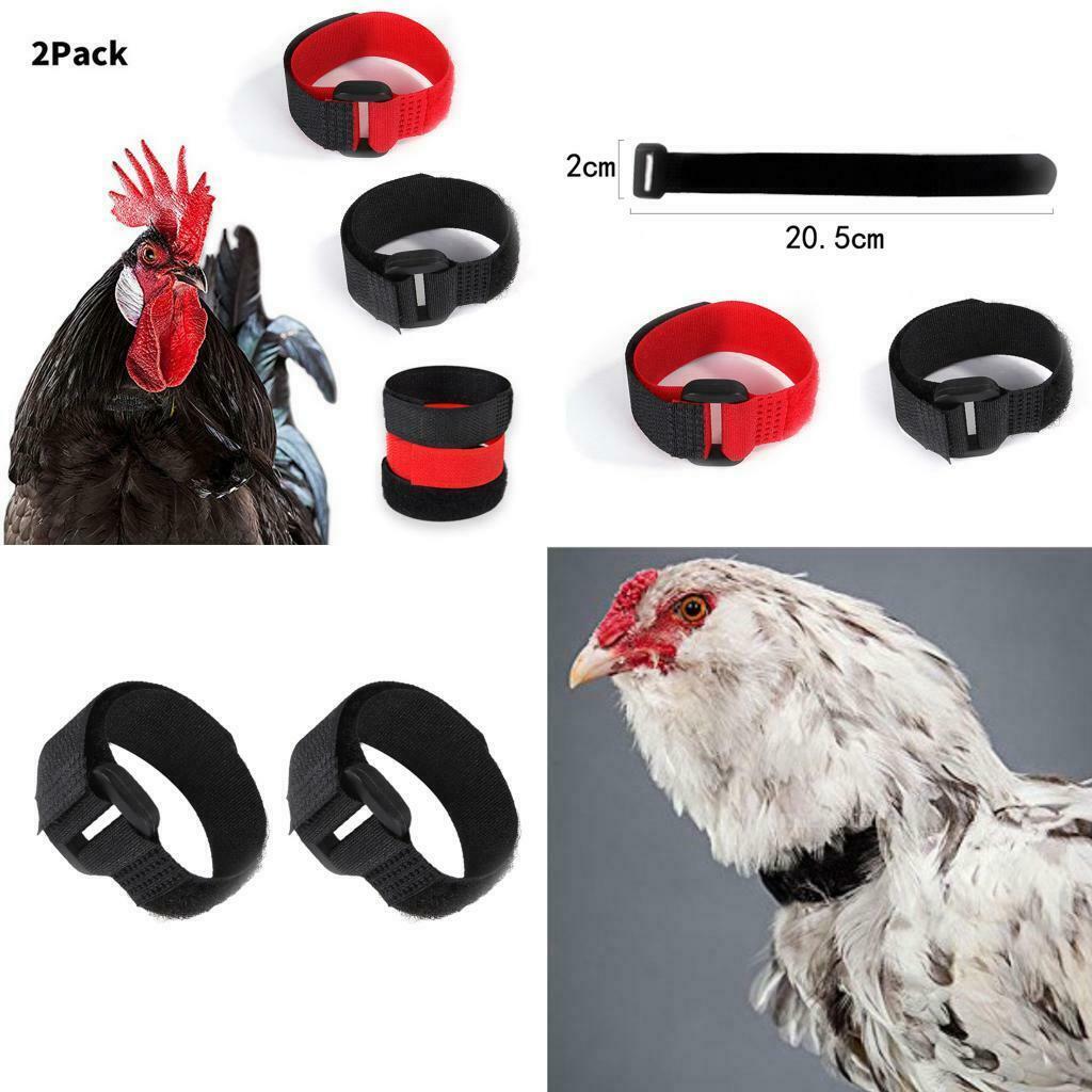 Set of 2 Chicken Collar Prevent Chicken from Disturbing Neighbors for Duck