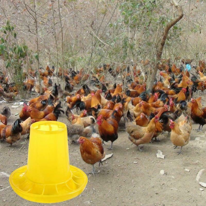 Chicken Feeder Poultry Feeding Equipment Automatic Tool Durable Plastic 4.4Lbs