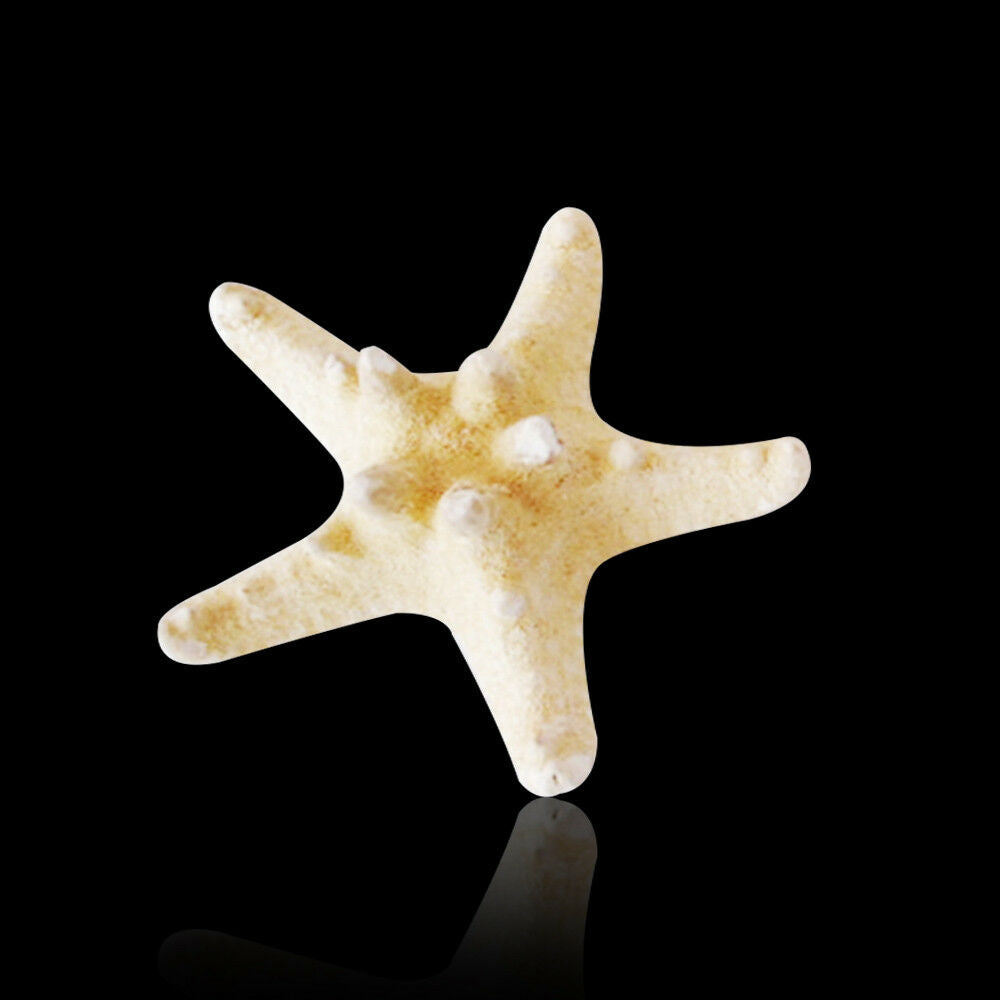 2pcs Aquarium Natural Starfish Sea Star Shells Landscape Making DIY Craft Decor