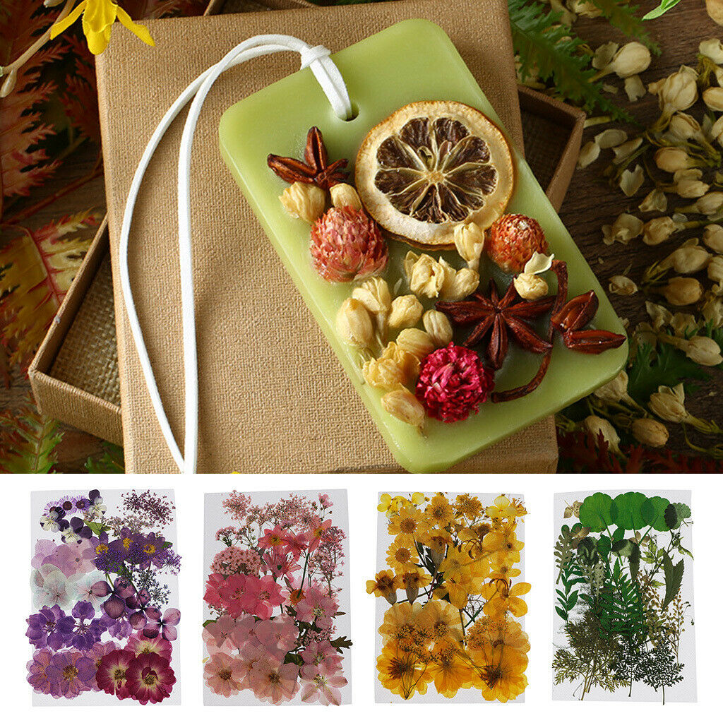 152x Dried Flowers Pink Real Dried Flowers Making Greeting Card Crafts