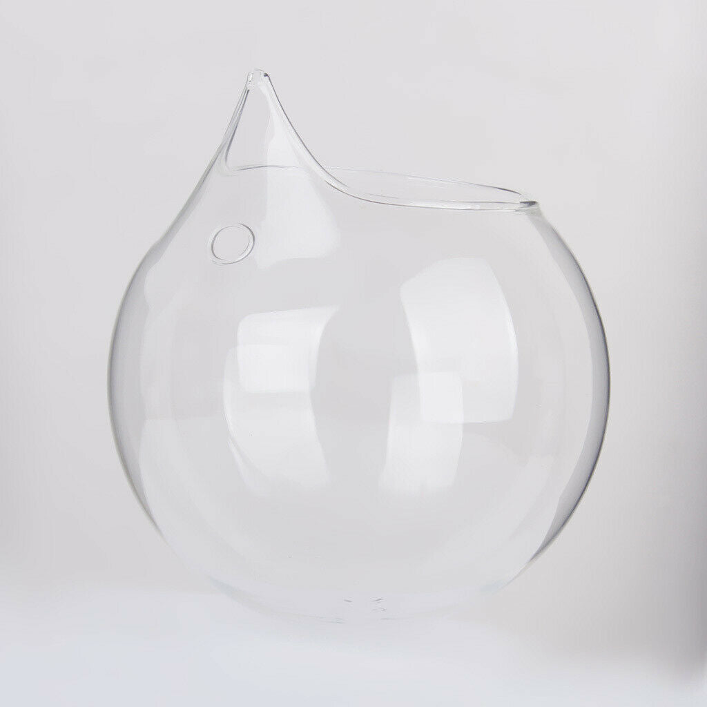 5 Pack Wall Hanging Vase Glass Flower Plant Terrarium Planters, Transparent